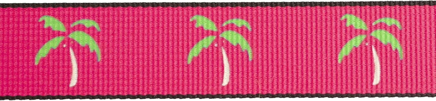 Thomas Bates Women's Hiker Pattern Web Belt